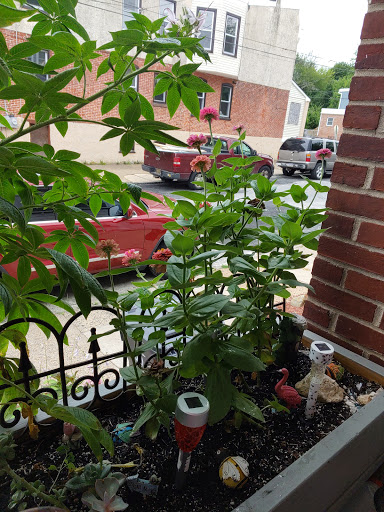 Home Improvement Store «The Home Depot», reviews and photos, 3600 Miller Rd, Wilmington, DE 19802, USA