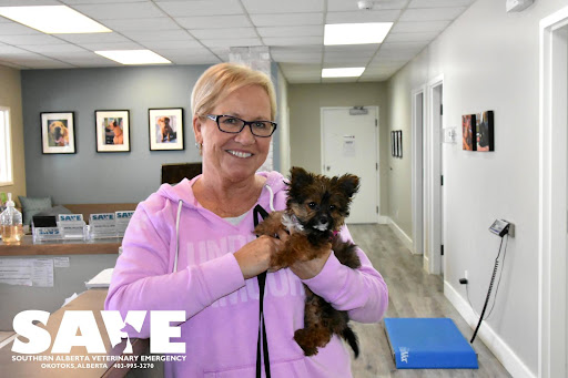 Southern Alberta Veterinary Emergency (SAVE) image