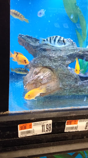 Pet Supply Store «Pet Supplies Plus», reviews and photos, 4808 Ridge Rd, Brooklyn, OH 44144, USA