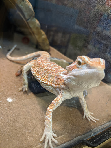 Pet Supply Store «PetSmart», reviews and photos, 1050 McKinley Pl Dr #30, San Marcos, TX 78666, USA