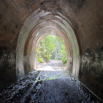 Dularcha Railway Tunnel