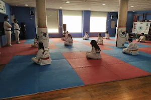 Taekwondo Balmes image