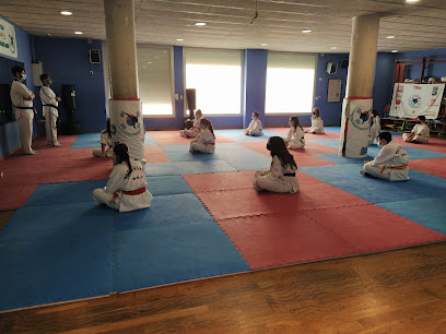 Taekwondo Balmes - Passeig de La Riera, 166, 08191 Rubí, Barcelona, Spain