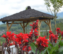 Wisata Strawberry photo