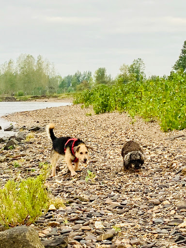 Tierarztpraxis Schrobenhausen unter Schrobenhausen, Bayern