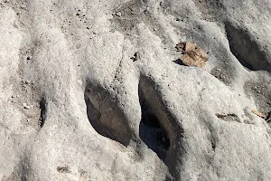 Dinosaur Tracks - Texas State Historical Marker image