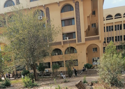 كلية اللغات والترجمة جامعة الأزهر بالقاهرة