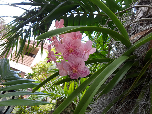 Community Center «Hammocks Community Association», reviews and photos, 9020 Hammocks Blvd, Miami, FL 33196, USA