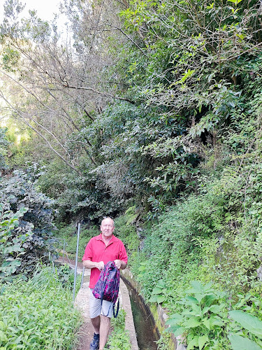 Avaliações doLevadas Madeira | Walking in levadas Madeira Guide - Booking levadas em Funchal - Agência de viagens