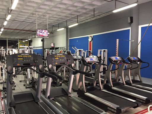 Animal gym en Santa Cruz de Tenerife, Santa Cruz de Tenerife