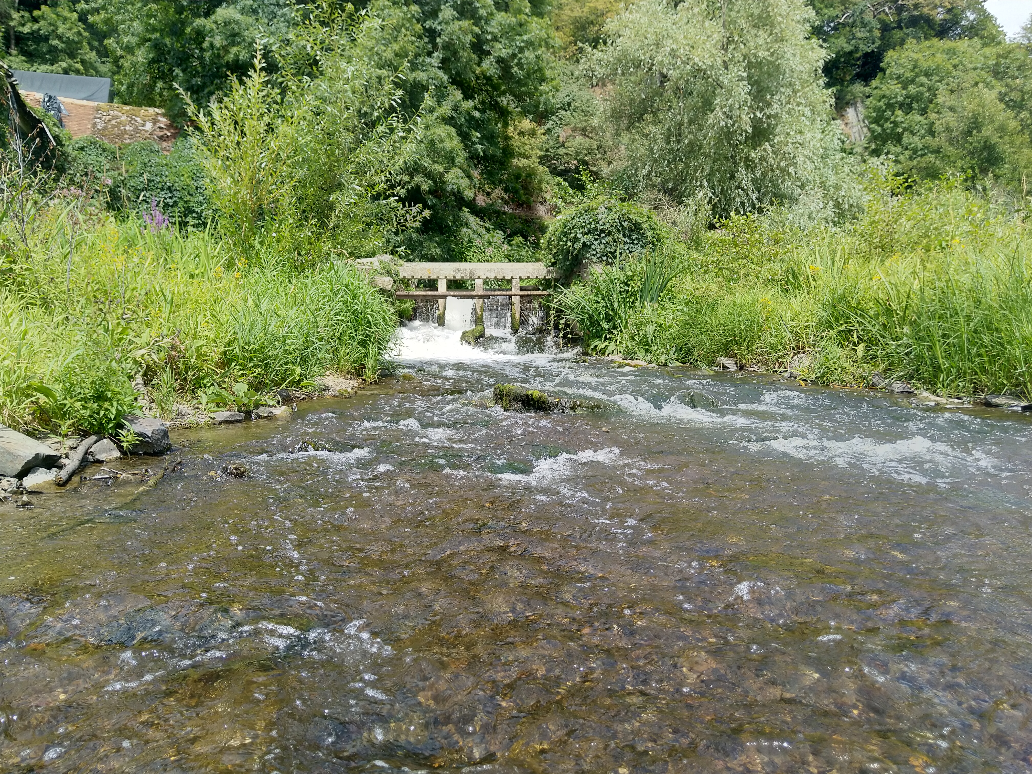 Photo n° 2 de l'avis de PN. fait le 23/07/2020 à 17:09