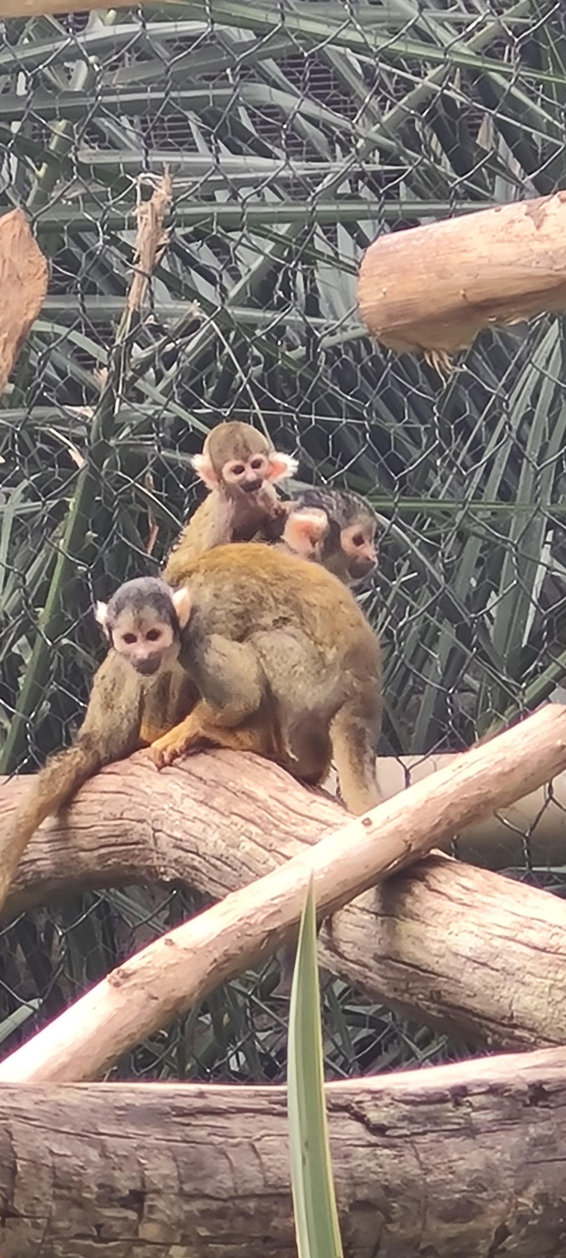 Photo n° 1 de l'avis de sandrine.e fait le 03/06/2023 à 18:16