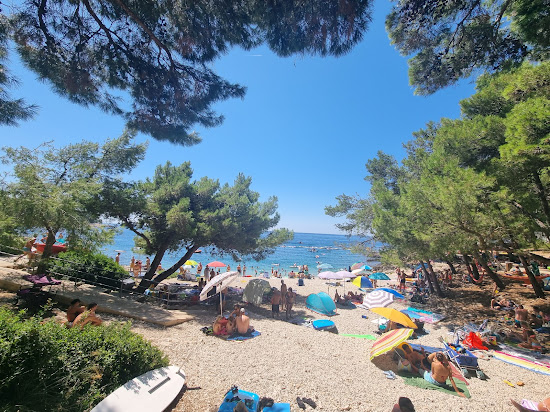 Plaza Camping Cikat