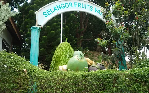 Selangor Fruit Valley (SFV) image