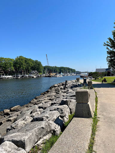 Used Book Store «Black River Books», reviews and photos, 330 Kalamazoo St # 2, South Haven, MI 49090, USA