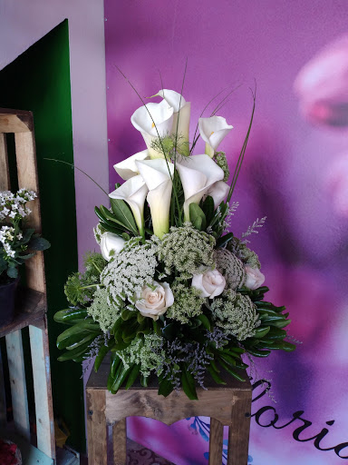 Floreria Florida Grenn – Tulancingo