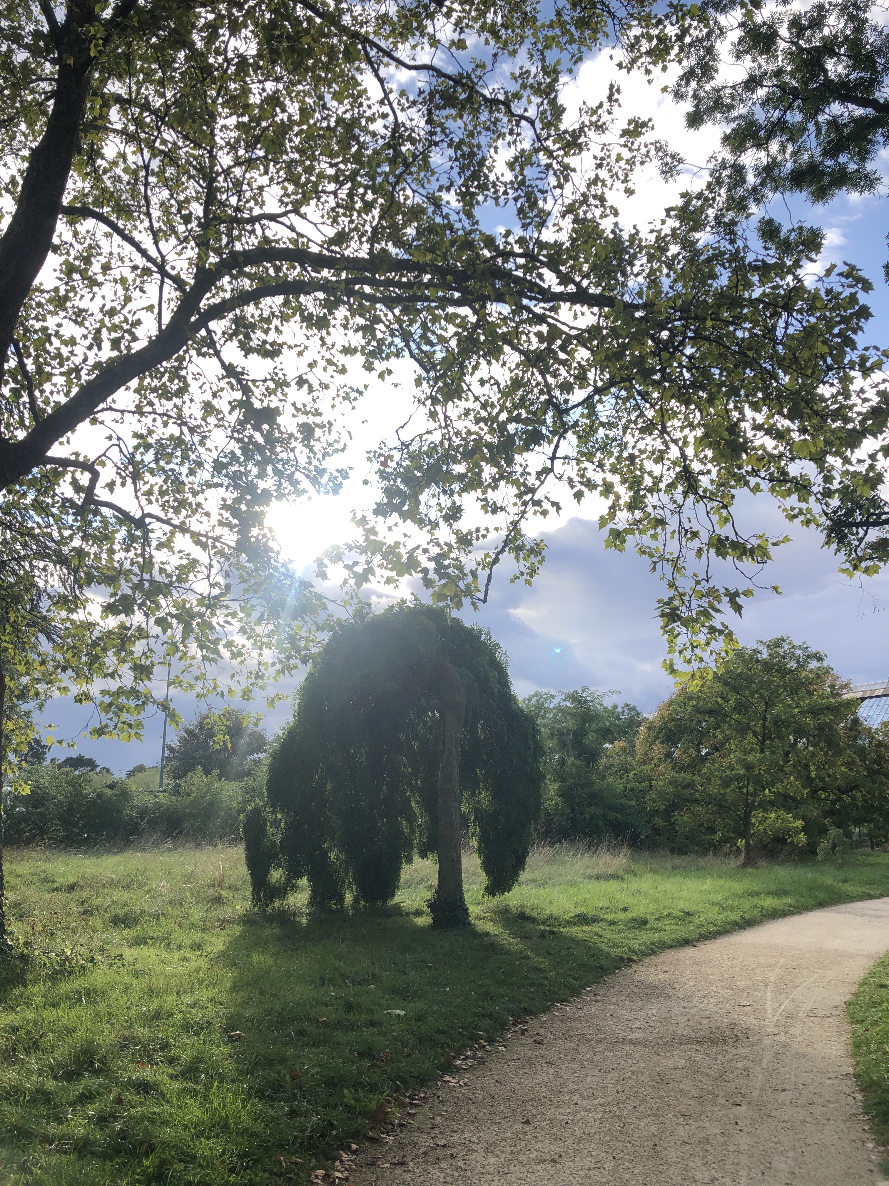 Photo n° 7 de l'avis de Munkhkhuslen.a fait le 29/08/2023 à 23:03