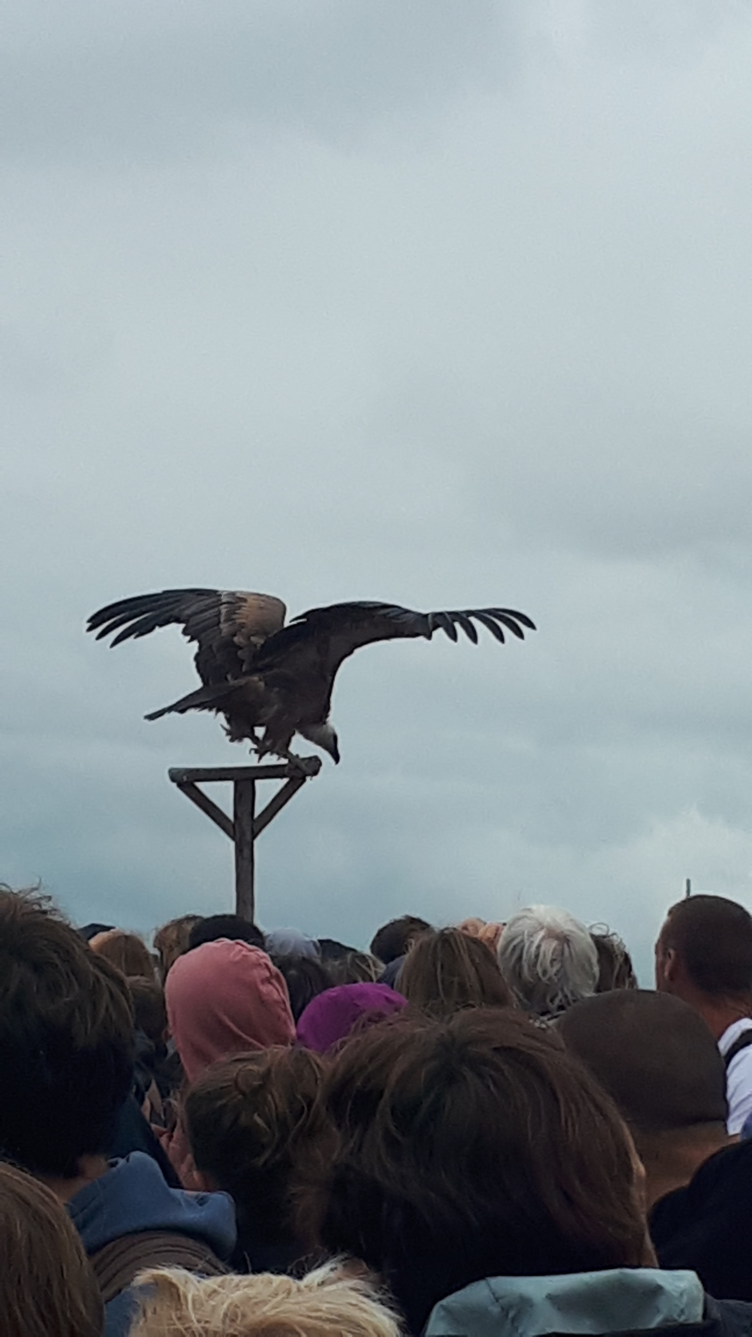 Photo n° 3 de l'avis de alexandre.e fait le 14/08/2019 à 14:49