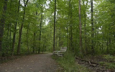 McAulliffe Park image