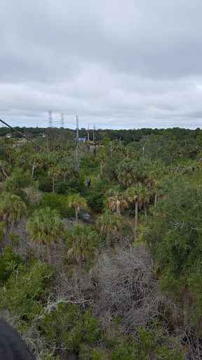 Nature Preserve «Mobbly Bayou Wilderness Preserve», reviews and photos, 423 Lafayette Blvd, Oldsmar, FL 34677, USA