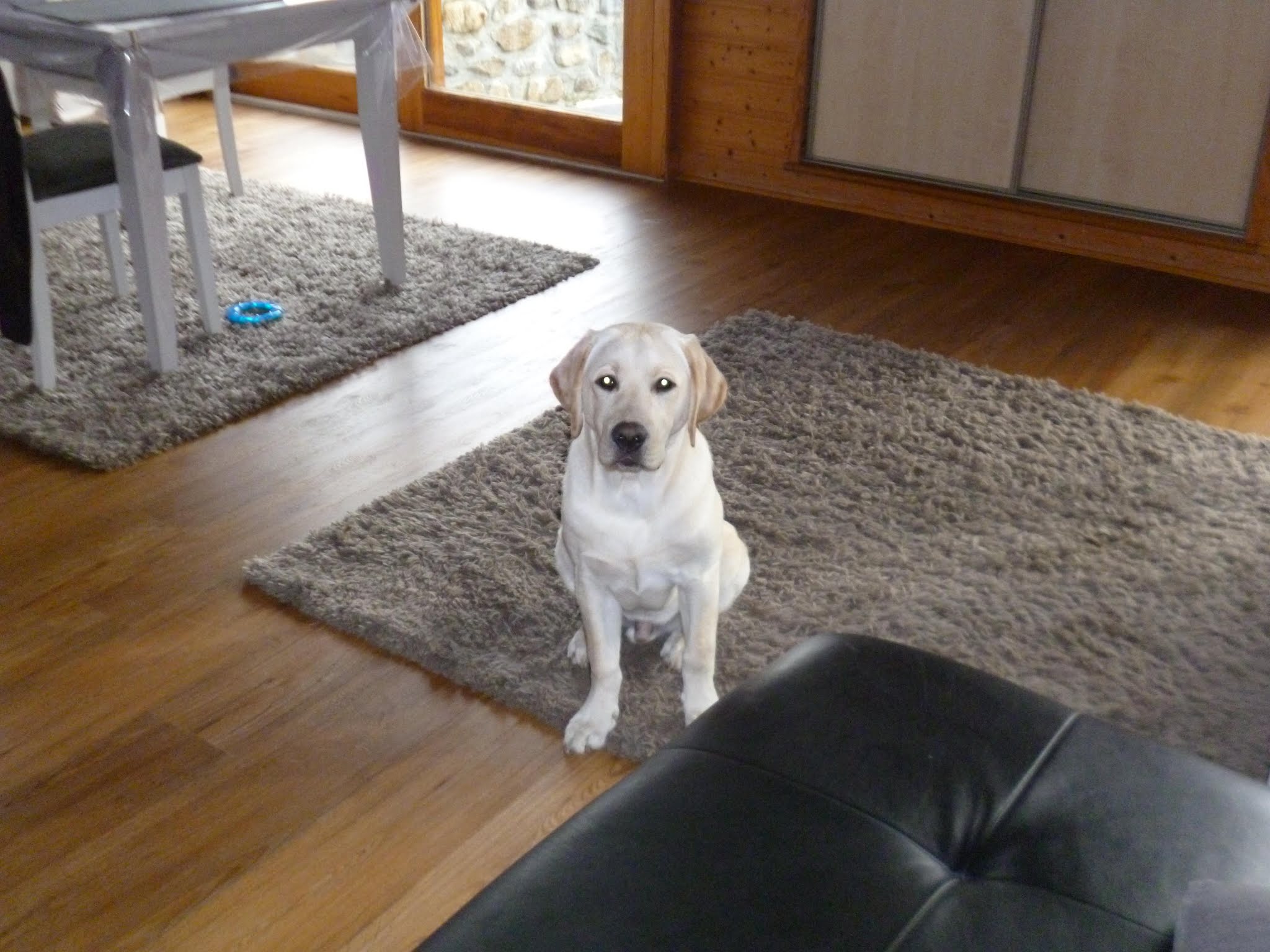 Photo n° 3 de l'avis de Corinne.o fait le 27/09/2018 à 08:15