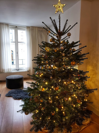 Tjalling's Kerstboom Amsterdam