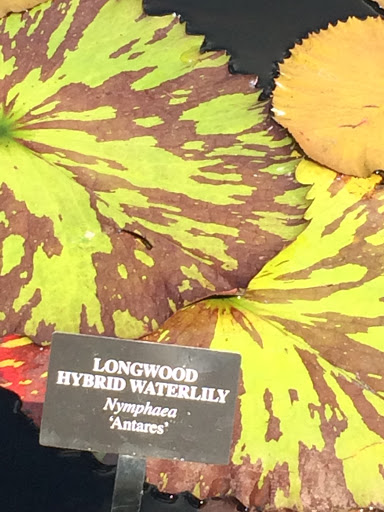 Department Store «Marshalls», reviews and photos, 1431 NY-300, Newburgh, NY 12550, USA