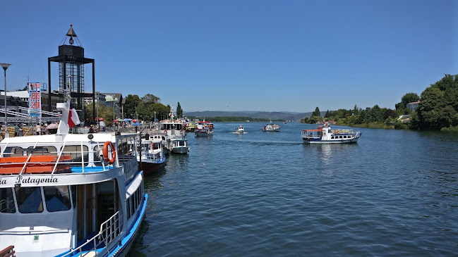 Valdivia Tours