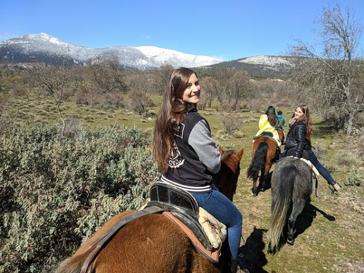 Horse Riding