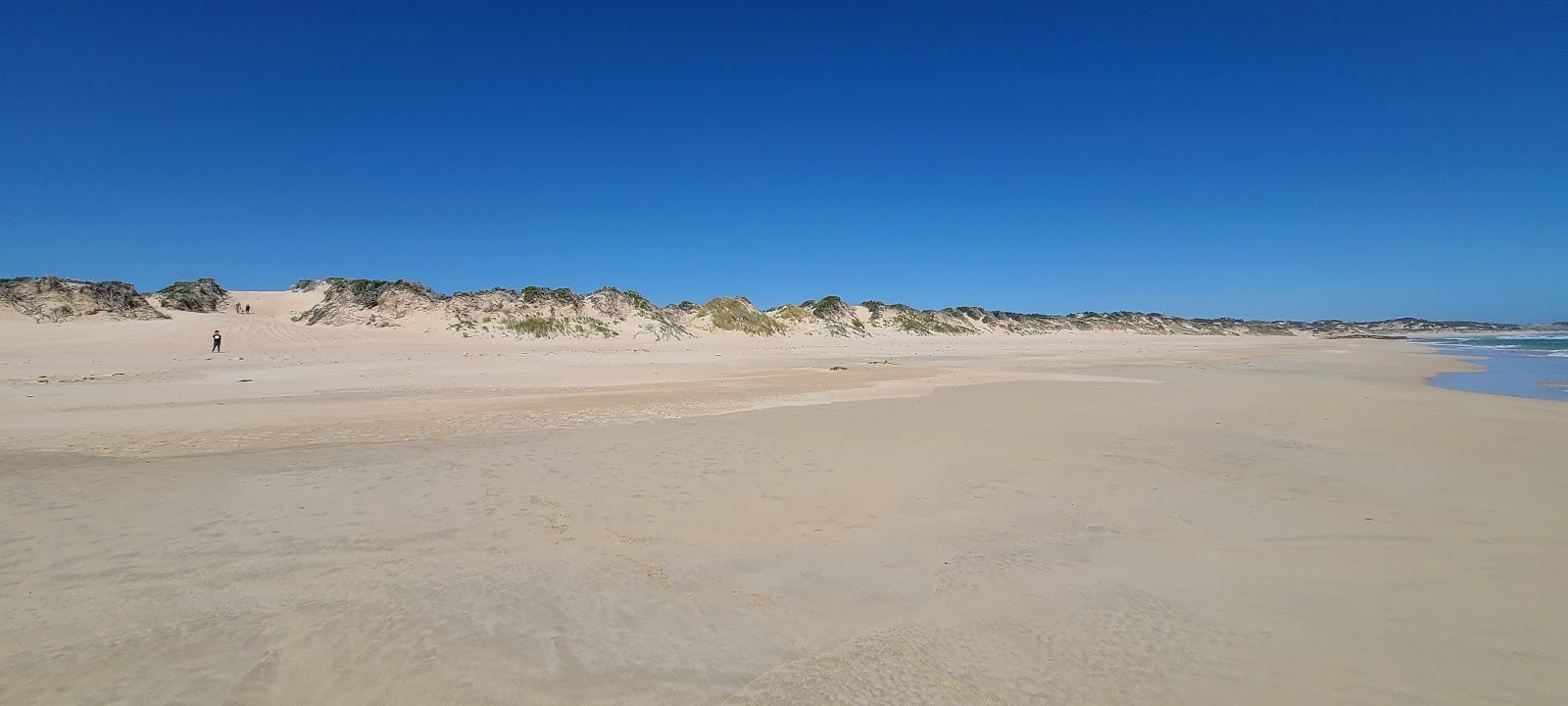 Foto av Back Beach med blå rent vatten yta