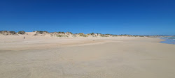Zdjęcie Back Beach z powierzchnią niebieska czysta woda