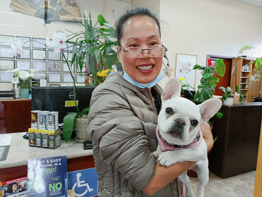 Auto Repair Shop «GIC Car Clinic», reviews and photos, 375 Bird Ave, San Jose, CA 95126, USA