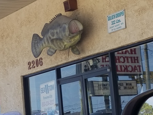 Sporting Goods Store «Half Hitch-Panama City Beach», reviews and photos, 2206 Thomas Dr, Panama City, FL 32408, USA
