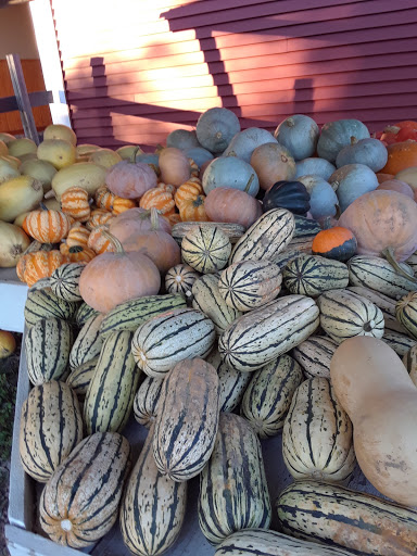 Orchard «Barton Orchards - Noxon Road Store Open Year Round - The Farm is CLOSED for the Season.», reviews and photos, 63 Apple Tree Ln, Poughquag, NY 12570, USA