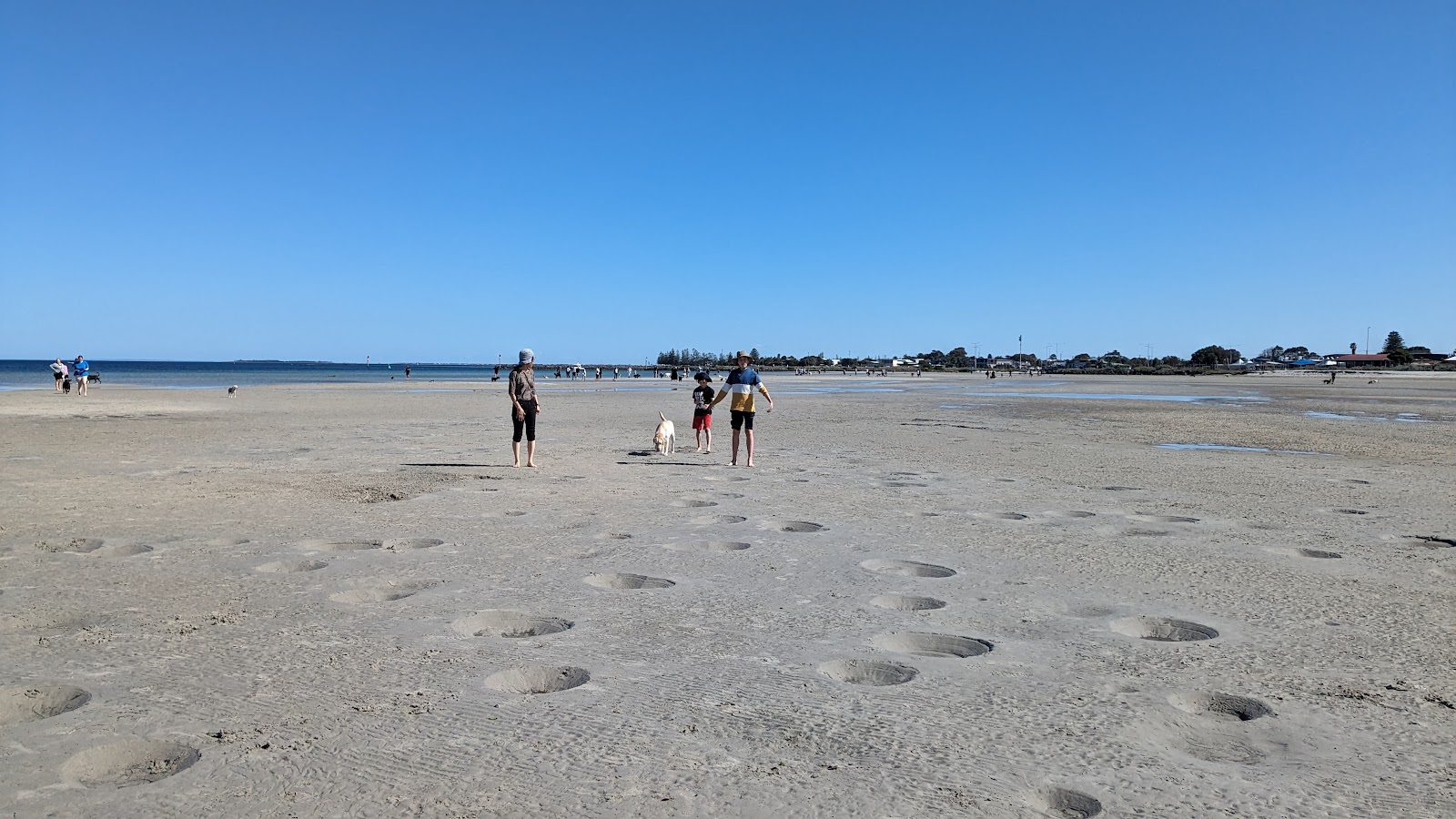Altona Beach Dog Off的照片 带有碧绿色纯水表面