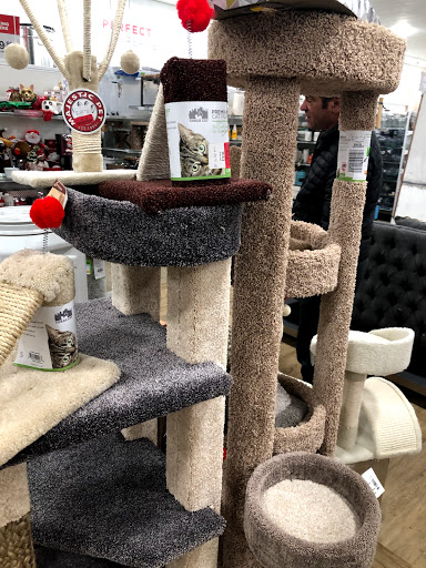 Department Store «HomeGoods», reviews and photos, 920 Springfield Rd, Union, NJ 07083, USA