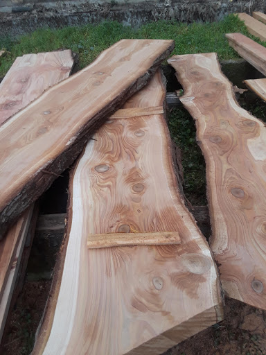 Florist «Milwaukie Floral and Garden», reviews and photos, 3306 SE Lake Rd, Milwaukie, OR 97222, USA