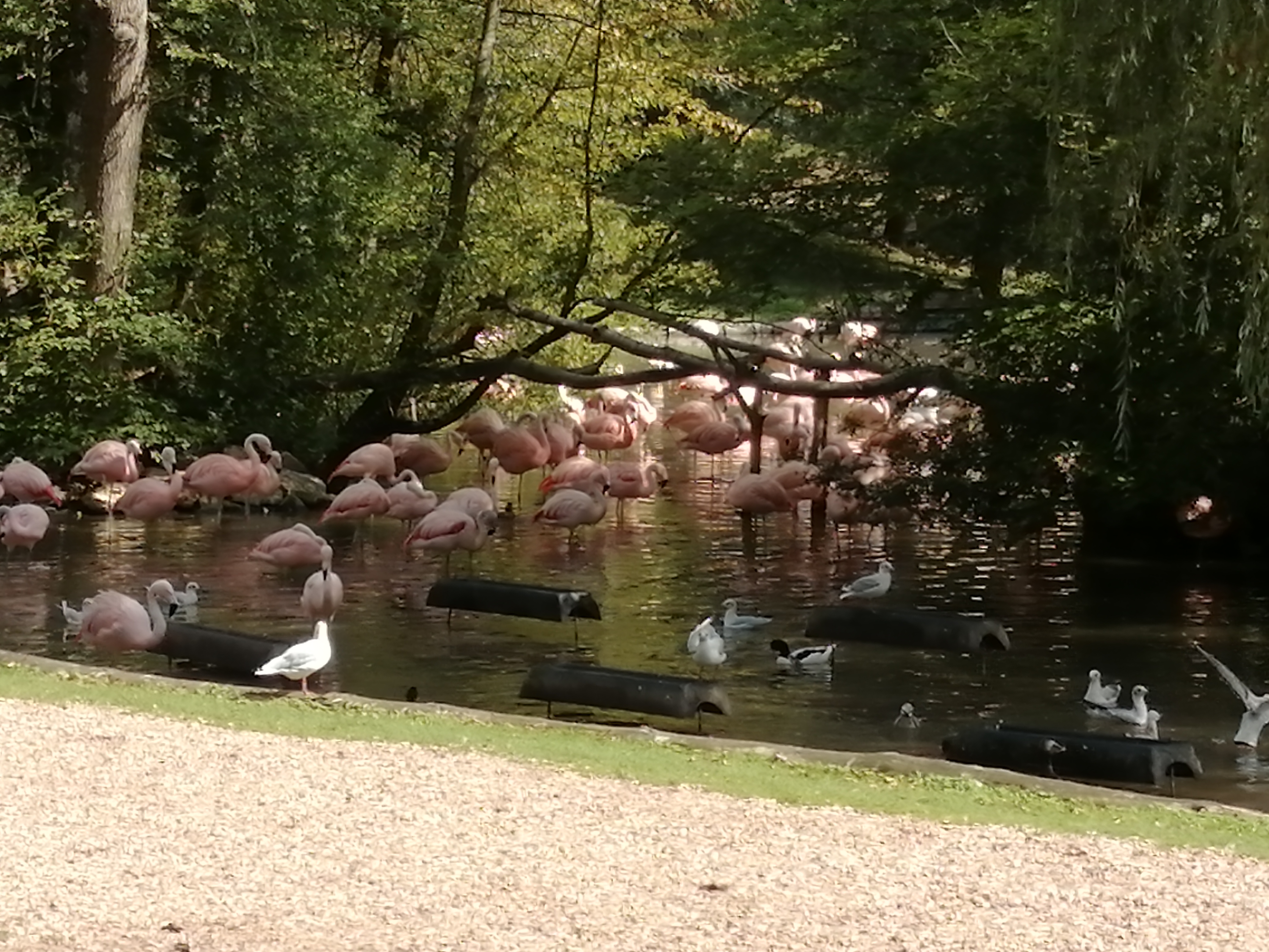 Photo n° 2 de l'avis de Virginie.o fait le 23/08/2019 à 20:35