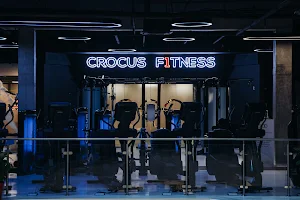 Crocus Fitness Рубинштейна image