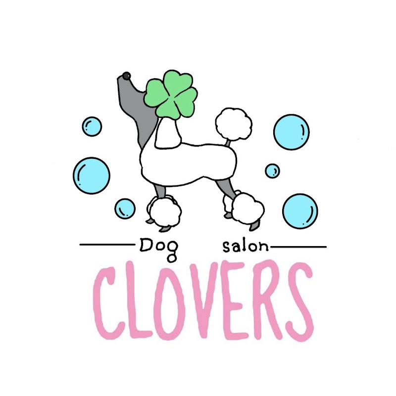 Dog salon CLOVERS