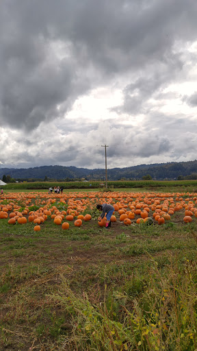 Farm «Bella Organic Farm», reviews and photos, 16205 NW Gillihan Rd, Portland, OR 97231, USA