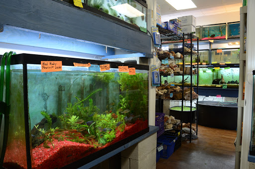 Tropical Fish Store «Age of Aquariums», reviews and photos, 118 N Cedar Ave, Cookeville, TN 38501, USA