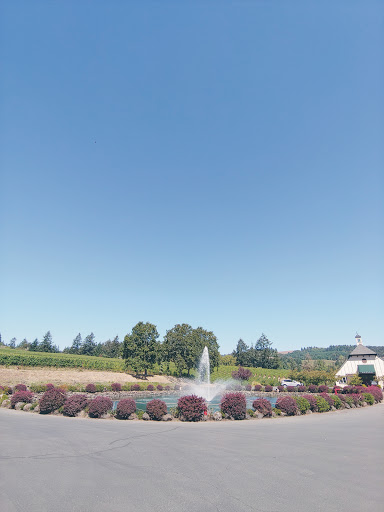 Winery «Zenith Vineyard», reviews and photos, 5657 Zena Rd NW, Salem, OR 97304, USA