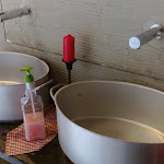 Photo n°4 de l'avis de marcofabris.a fait le 18/03/2018 à 17:27 sur le  Ostaria Da Ciccio à Pianiga