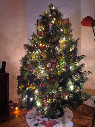 Merlino's Christmas Trees