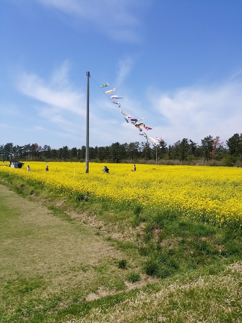 サッカー場