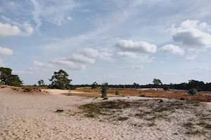 The Loonse and Drunense Duinen National Park image