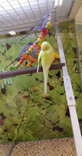 Pet Supply Store «PetSmart», reviews and photos, 4601 Outer Loop, Louisville, KY 40219, USA