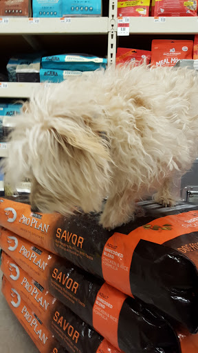 Pet Supply Store «Pet Supplies Plus», reviews and photos, 700 Nutt Rd, Phoenixville, PA 19460, USA
