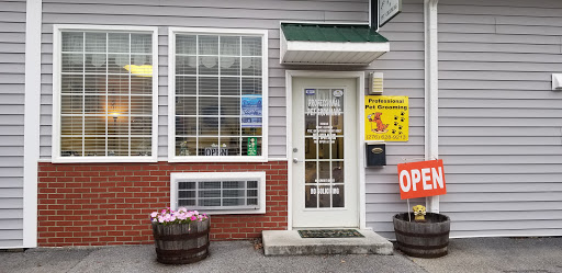 Professional Pet Grooming